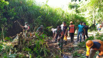 Penanganan Tanah Longsor yang Mengakibatkan Bongkahan Bambu Tumbang
