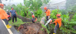 Terjadi Pohon Tumbang di  Banjar Dinas Buyan Desa Pancasari 