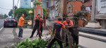 Antusias Gotong Royong Penataan Taman Di Kantor Baru BPBD Kabupaten Buleleng
