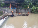 Penanganan Terkait Pohon Beringin Yang Tersangkut di Bendungan Banyuning